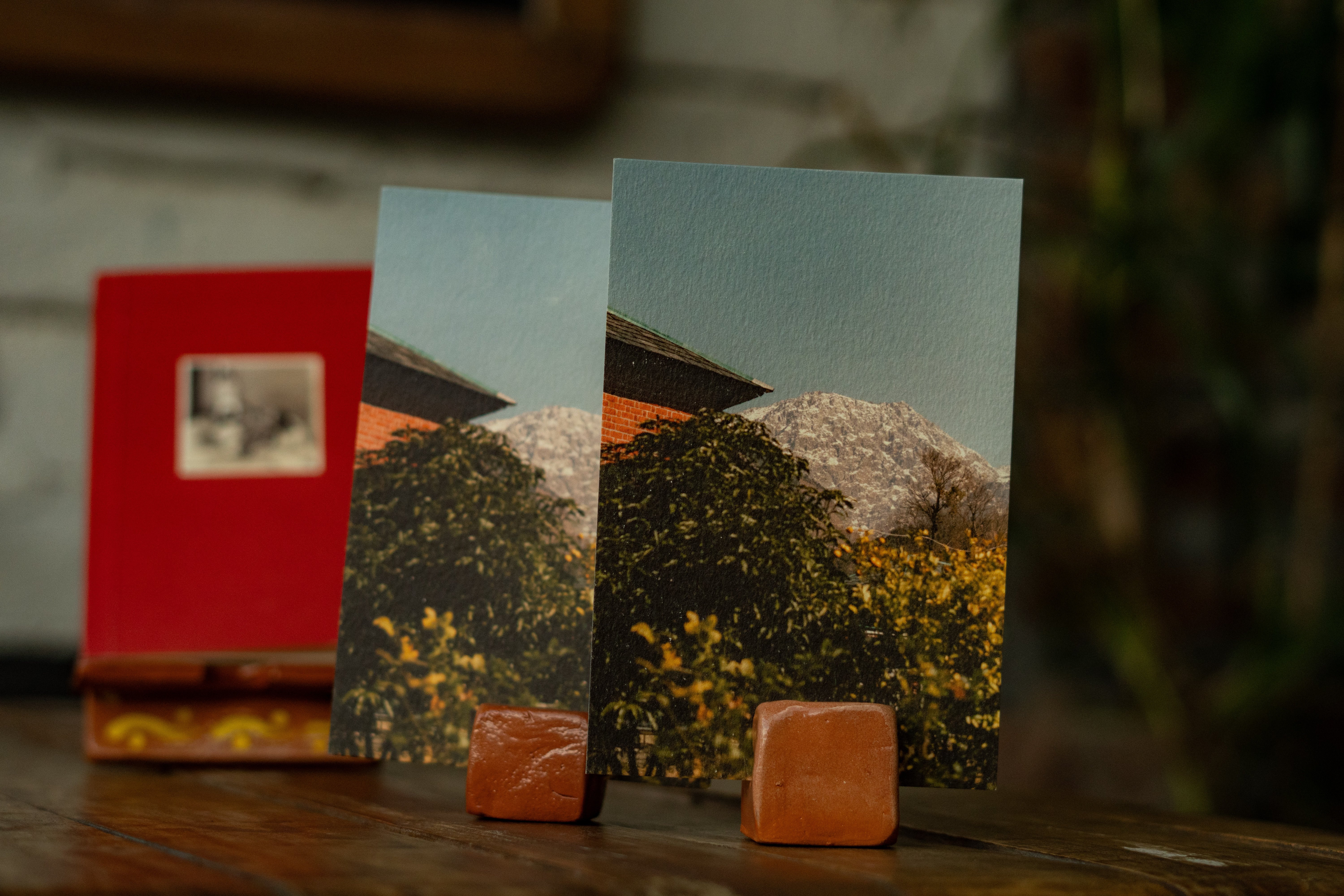 Book and Photograph