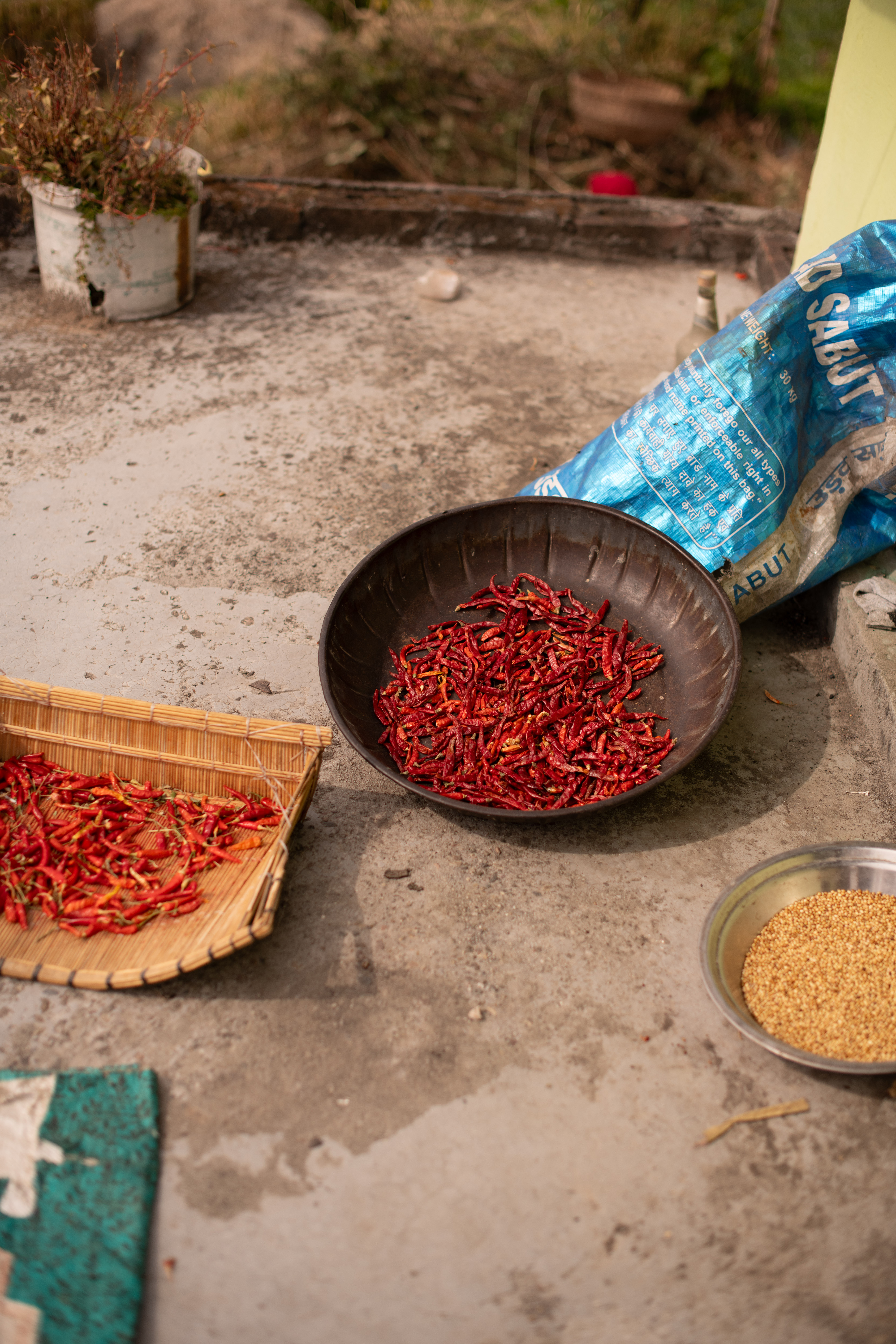 Red Chili