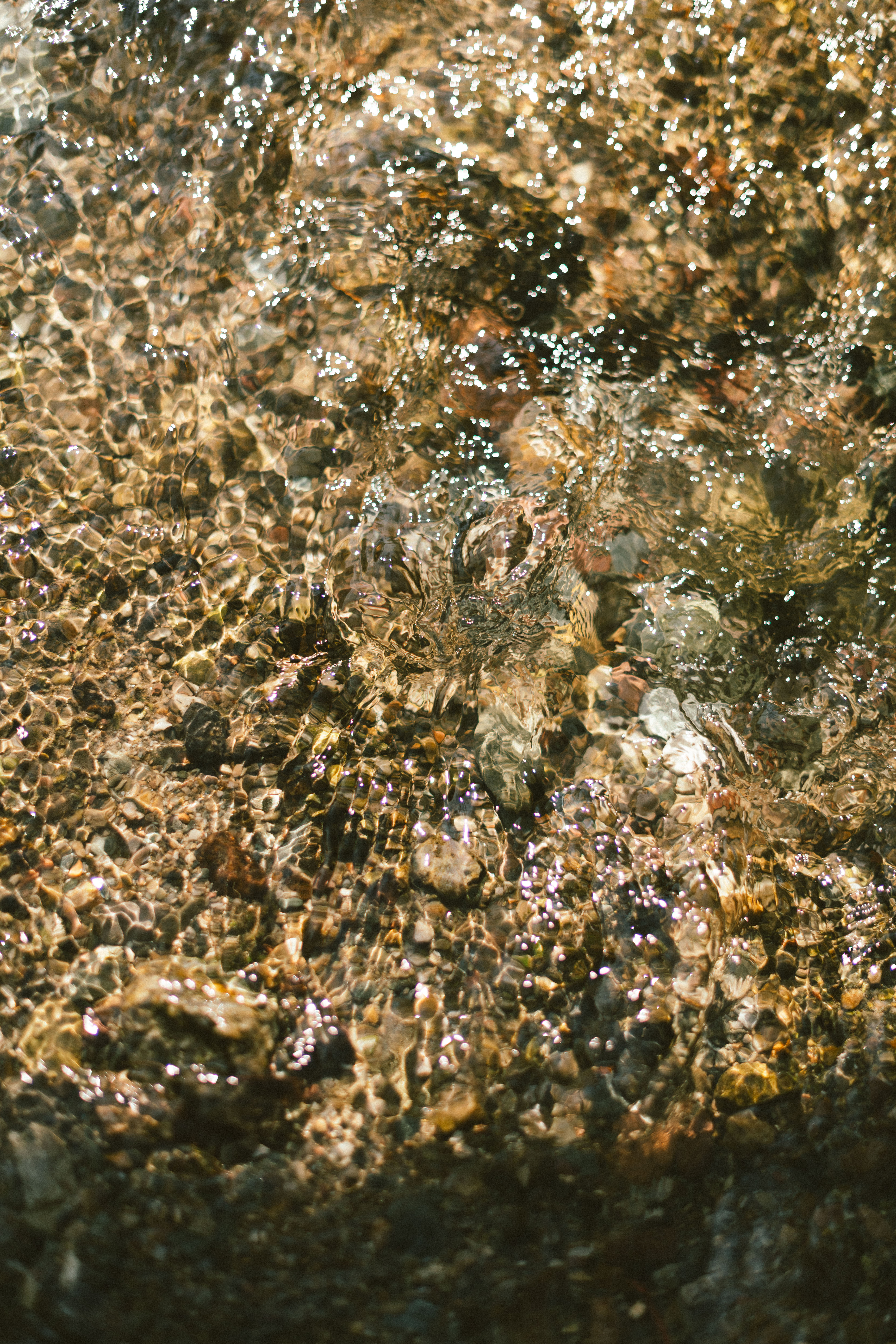 Stream and Rocks